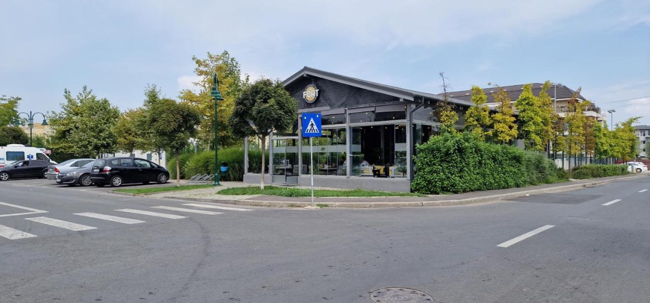 Amazing Apartament With Garden Bucharest Airport Self Check-In!! Otopeni Εξωτερικό φωτογραφία